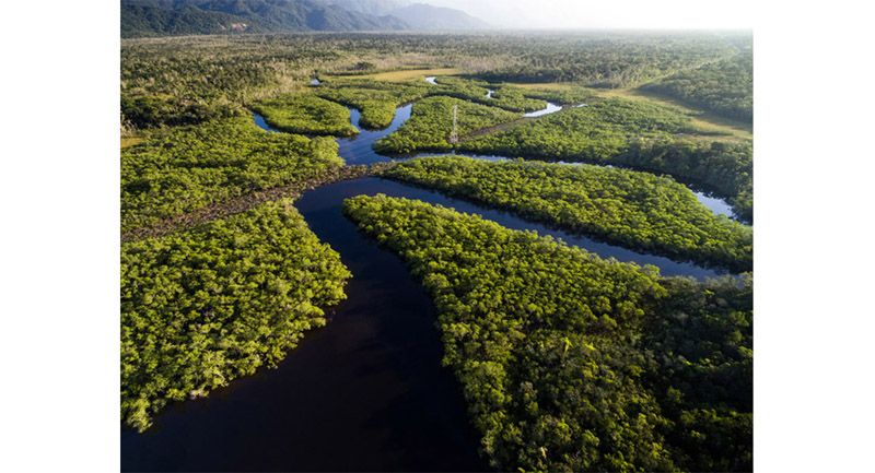 Transport is slow and difficult due to the terrain. The Amazon rises and falls once per year. Barges that go aground are likely to remain so for a long time.