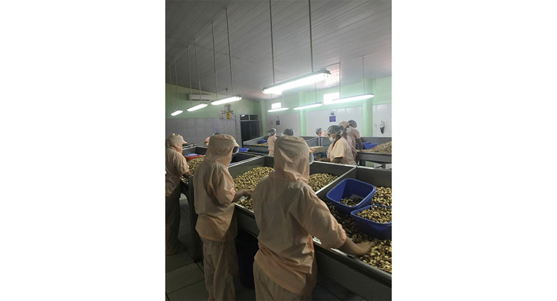 Newly shelled brazil kernels are selected for size and quality many times to produce a product like……